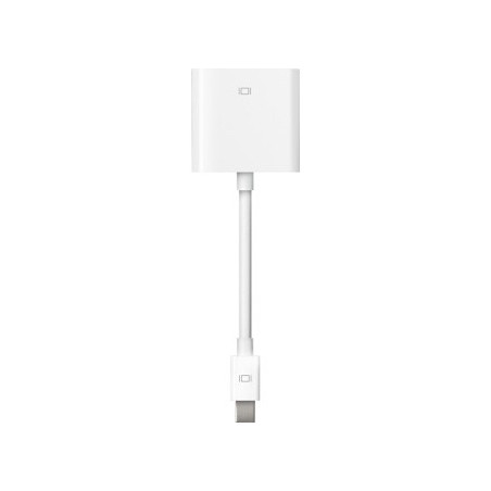 Mini DisplayPort - DVI Adapter - Ex Demo