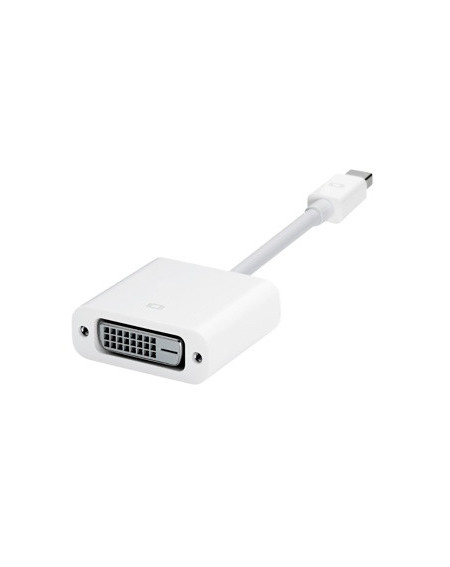Adattatore Mini DisplayPort - DVI - Ex demo