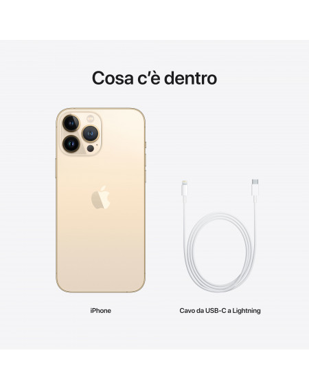 iPhone 13 Pro Max 128GB Oro - Prodotto rigenerato grado B Plus