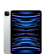 iPad&nbsp;Pro&nbsp;11